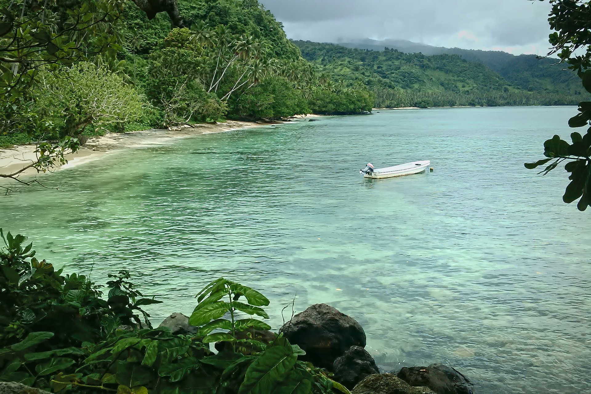 The island of Taveuni